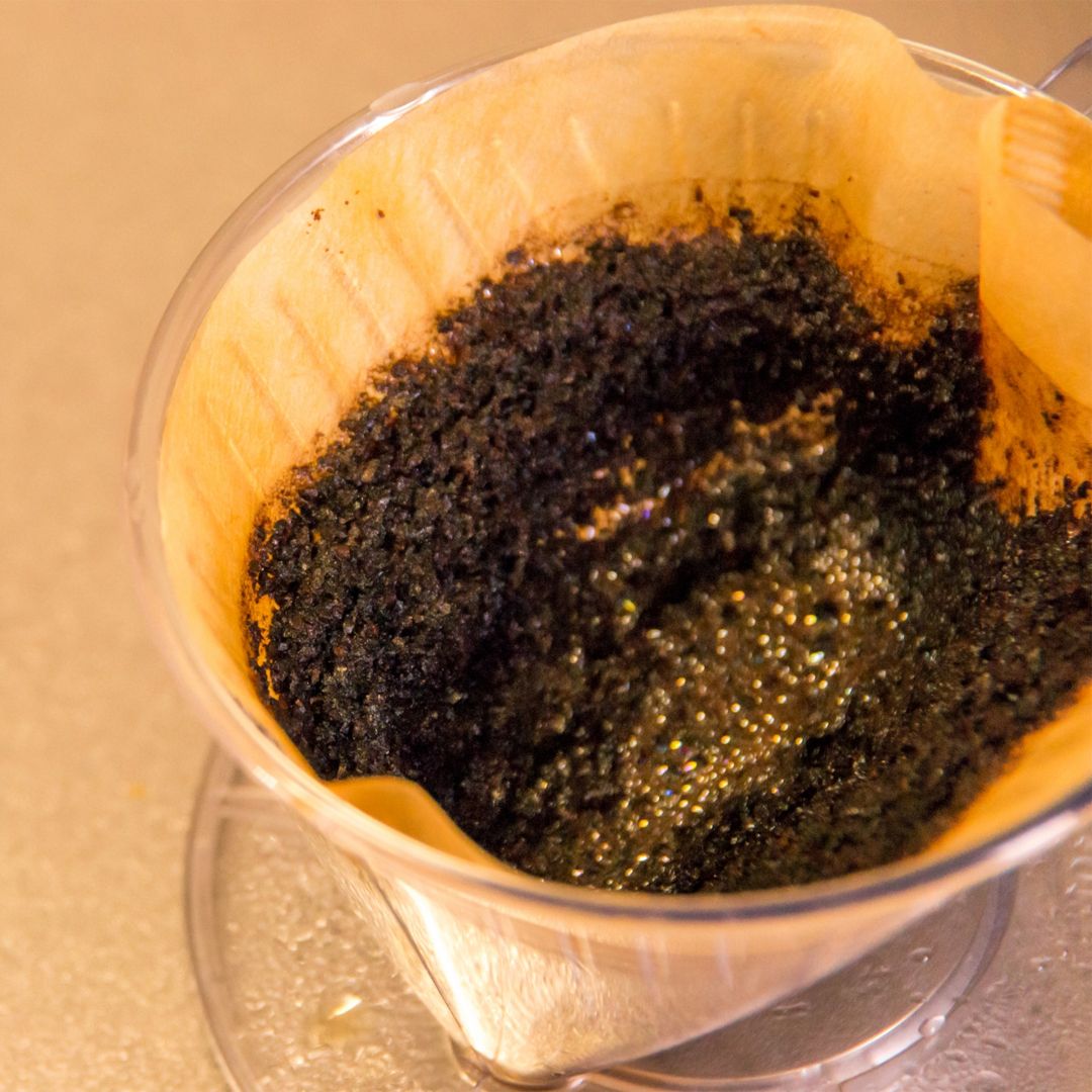 コーヒー豆の出がらしを無料でプレゼント！